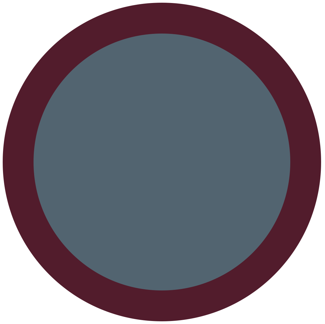 Lens Keeper NO.01 | Sky / Plum