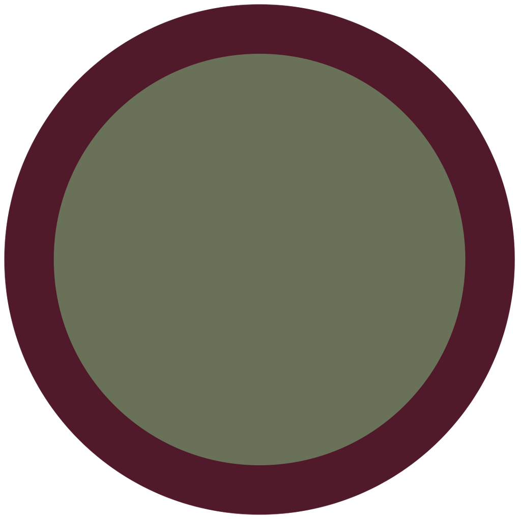 Lens Keeper NO.01 | Olive / Plum