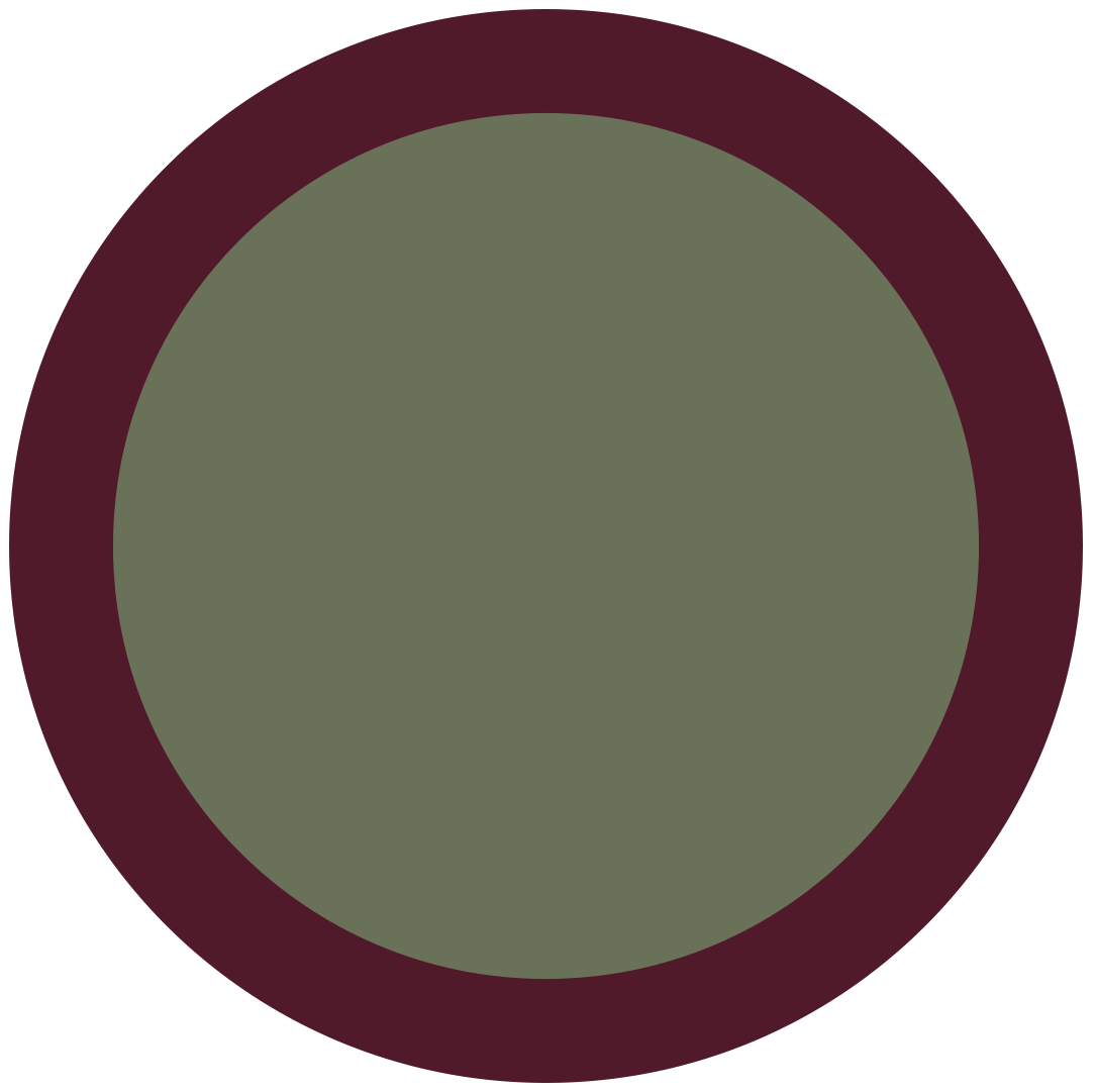 Lens Keeper NO.01 | Olive / Plum