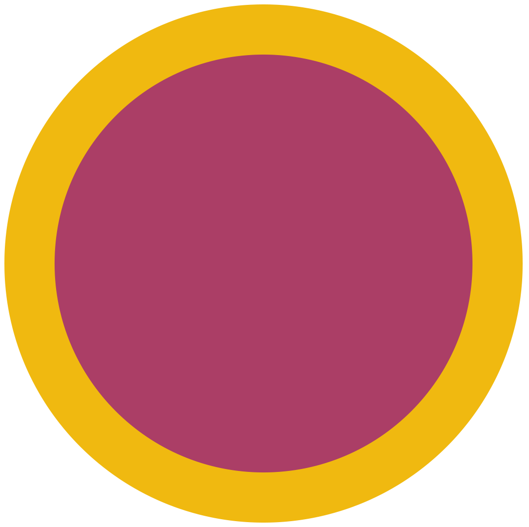 Lens Keeper NO.01 | Pink / Yellow